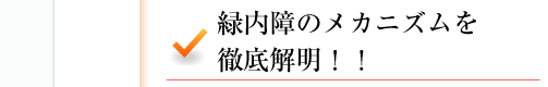 緑内障のメカニズムを徹底解明！！