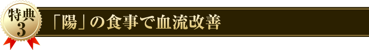 特典３「陽」の食事で血流改善